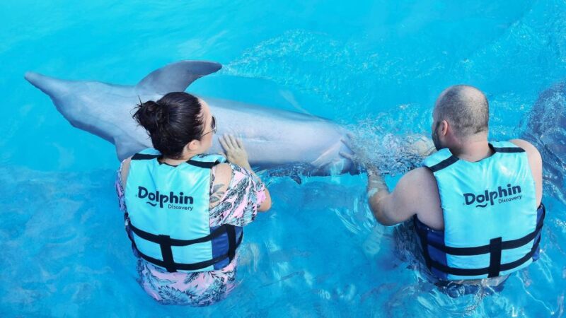 Cozumel: Dolphin Royal Swim - Chankanaab Park Access
