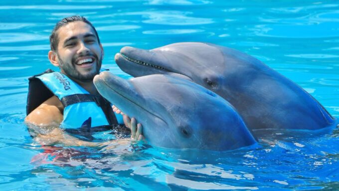 Cozumel: Dolphin Royal Swim - Customer Ratings and Reviews