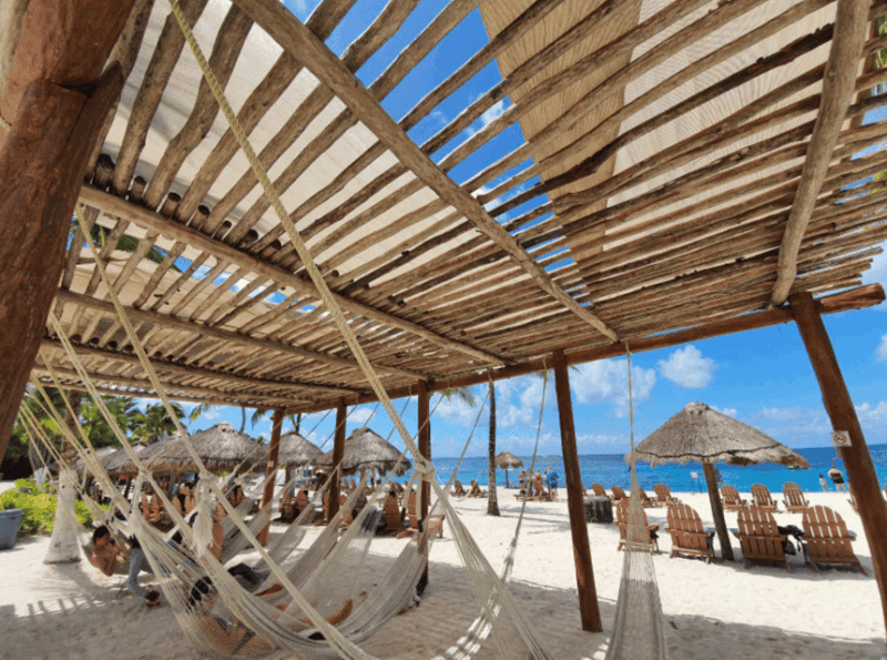 Cozumel: Downtown and Chankanaab Park - Transportation and Group Size