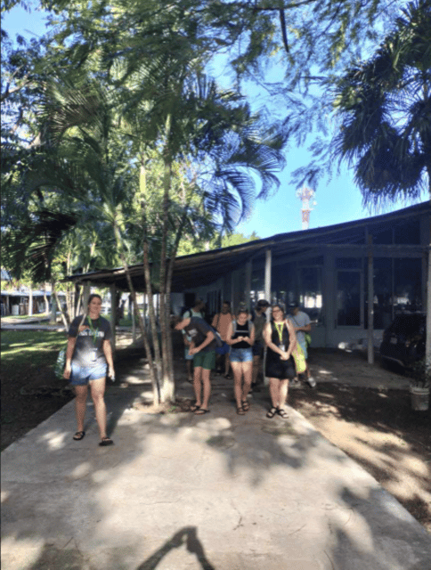 Cozumel: Downtown, Mayan Experience and San Gervasio - Key Points