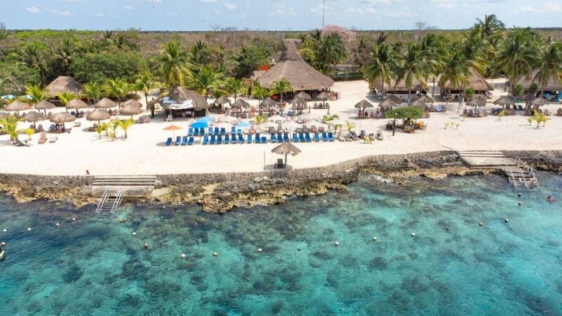 Cozumel: East Side Bar Hop With Lunch - Artisan Tequila Tasting Experiences