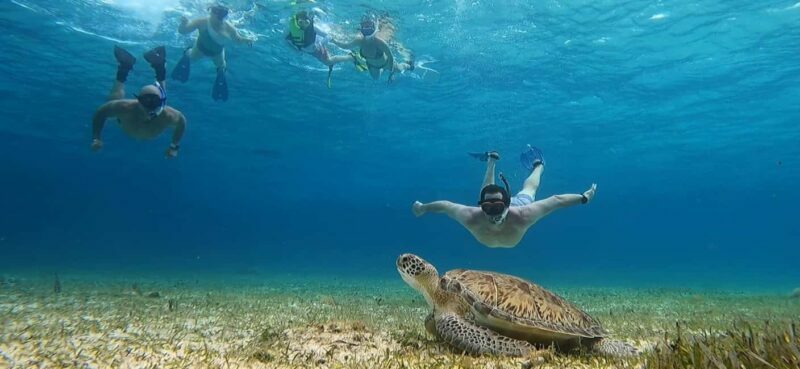 Cozumel, El Cielo: 4-Hour Shared Snorkeling Tour - A Detailed Look at the Tour Experience