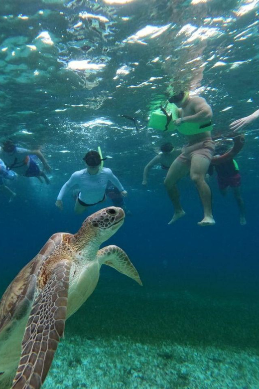 Cozumel, El Cielo: 4-Hour Shared Snorkeling Tour - Tour Overview and Pricing