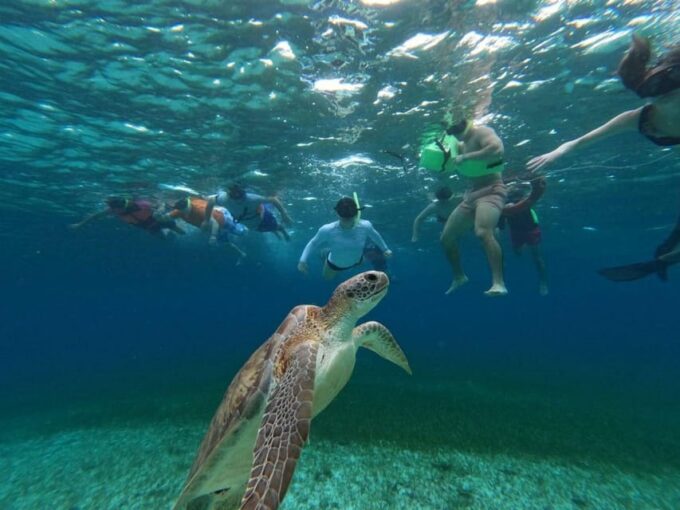 Cozumel, El Cielo: 4-Hour Shared Snorkeling Tour - Meeting Point and Location