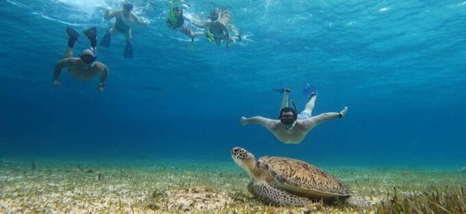 Cozumel, El Cielo: 4-Hour Shared Snorkeling Tour - Prohibited and Recommended Items