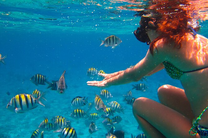 Cozumel El Cielo All Inclusive Tour From Cancun - Guest Feedback and Experiences