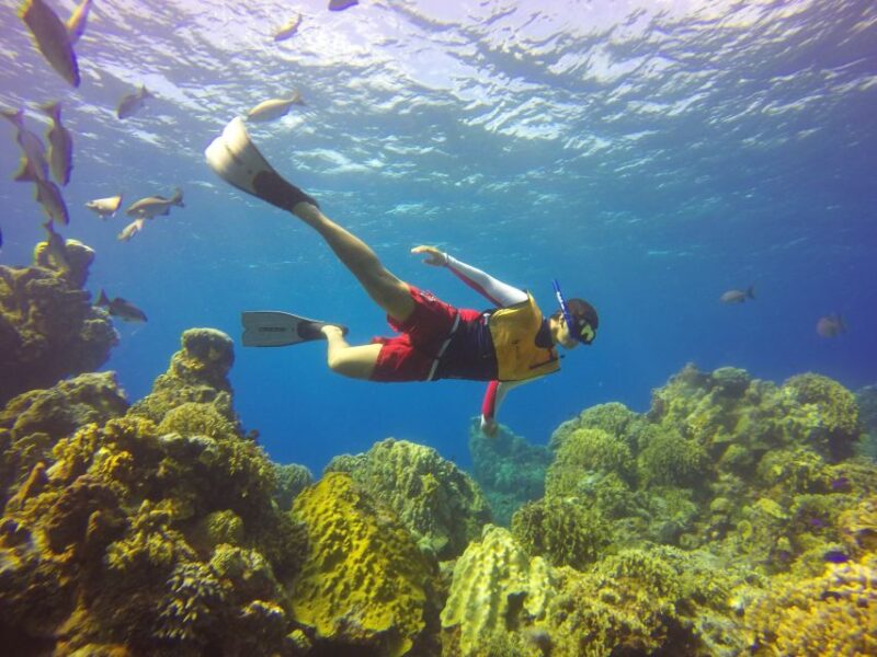 Cozumel: El Cielo Bay & Playa Mia Beach Day - Included Features