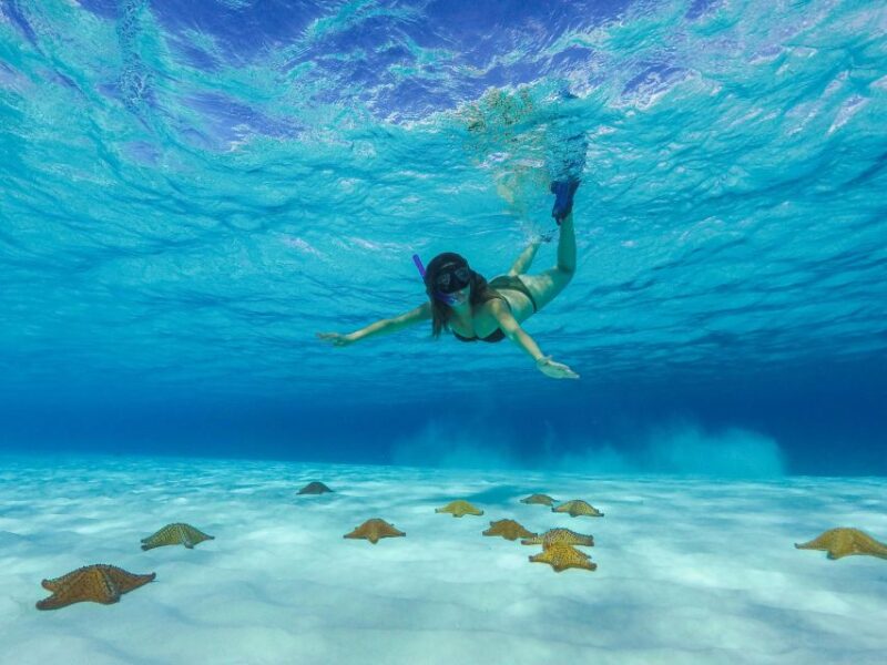 Cozumel: El Cielo Bay & Playa Mia Beach Day - Snorkeling Experience