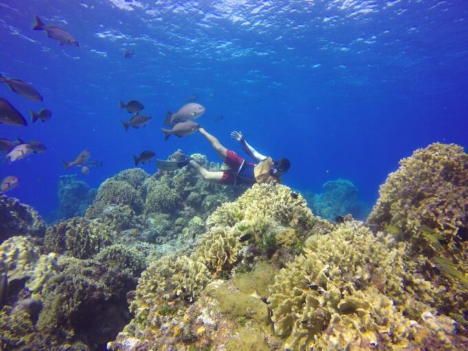 Cozumel: El Cielo Bay & Playa Mia Beach Day - Frequently Asked Questions
