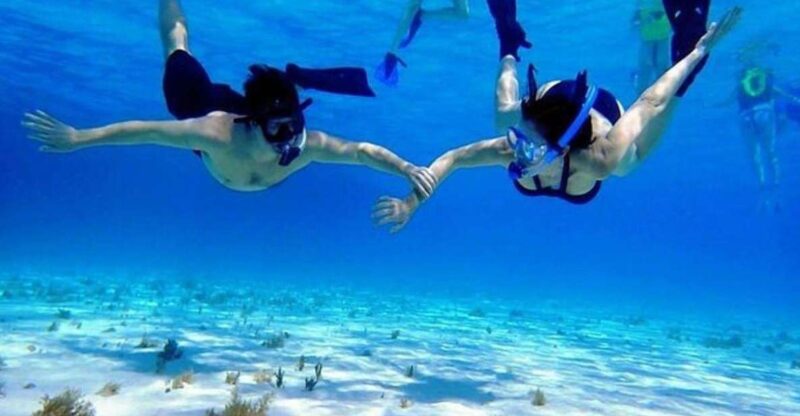 Cozumel El Cielo Sandbar and Reef Snorkeling Tour - Key Points