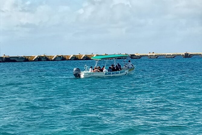 Cozumel El Cielo Tour by Boat From Playa Del Carmen & Transfer - Customer Reviews and Feedback