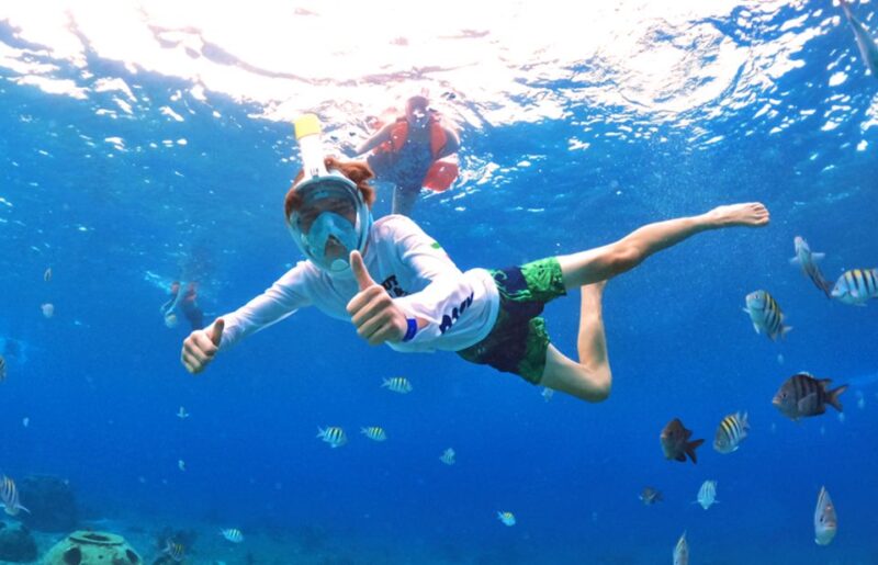 Cozumel: Excursion Crystal Boat Tour With Snorkel & Drinks - Key Points