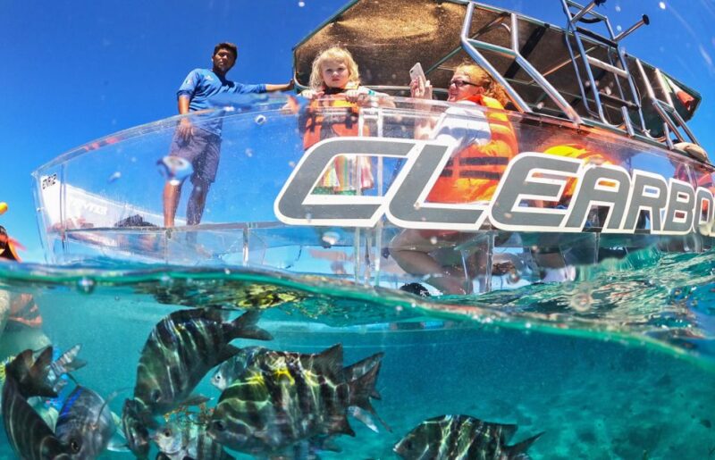 Cozumel: Excursion Crystal Boat Tour With Snorkel & Drinks - Itinerary Highlights