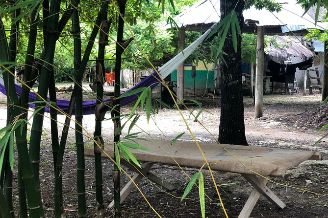 Cozumel Farm To Table Experience!!! - Accessibility and Group Size Information