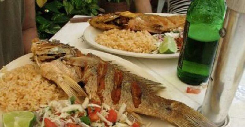 Cozumel Food Tour - Tour Inclusions