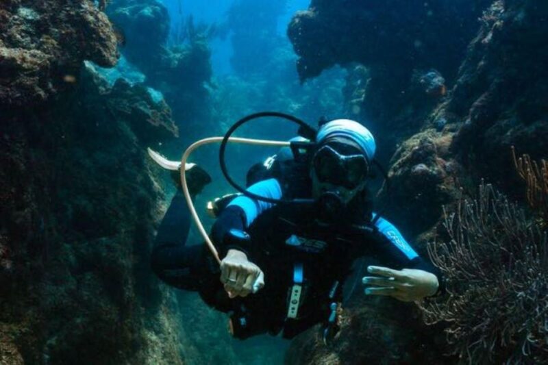Cozumel: Fun Dive Adventure - Inclusions and Restrictions