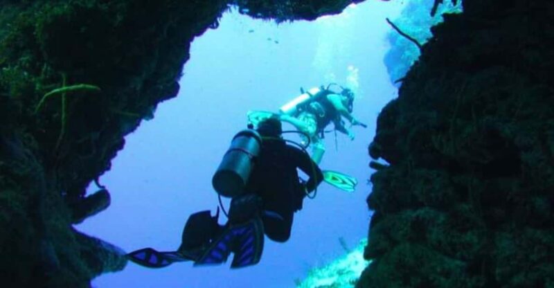 Cozumel: Fun Diving for Certified Divers by Boat - Dive Experience