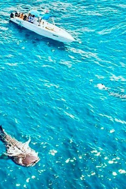 Cozumel: Fun Diving for Certified Divers by Boat - Flexibility and Booking