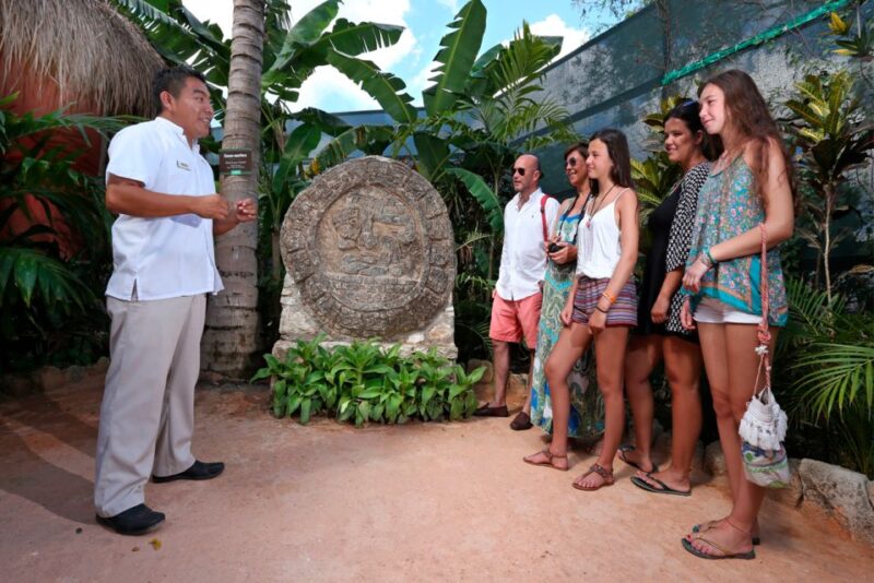 Cozumel: General Admission to the Mayan Cacao Experience - Pricing and Accessibility