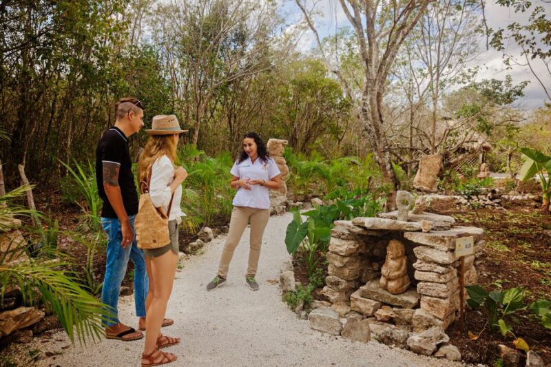 Cozumel: General Entrance to Mayan Bee Sanctuary - Learning About Melipona Honey