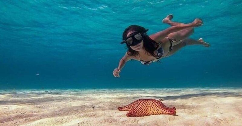 Cozumel: Glass-bottom Boat Snorkeling Adventure - Key Points