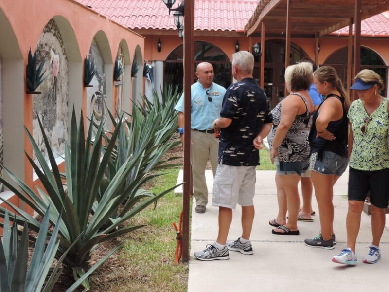 Cozumel: Historical Driving Tour by VW Buggy With Snorkeling - Itinerary Highlights