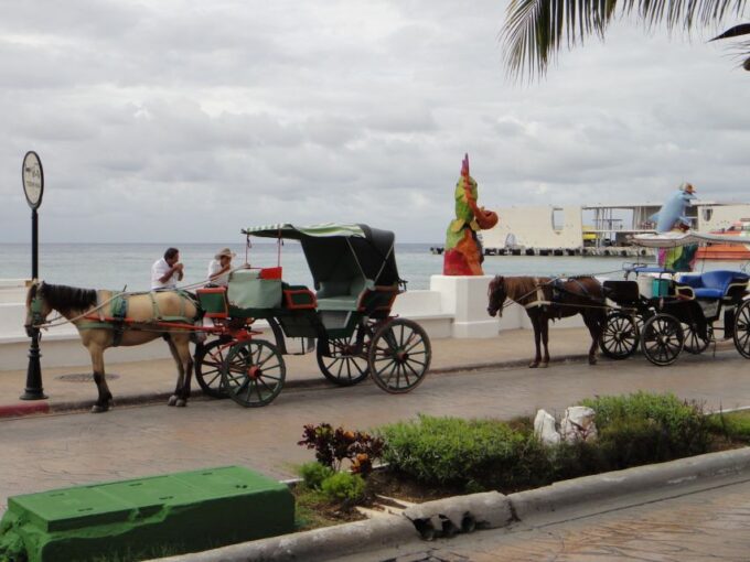 Cozumel Historical Walking Tour With Lunch - Cruise Ship Passenger Information