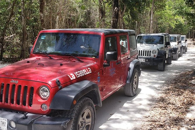 Cozumel Jeep Adventure to Jade Caverns With Lunch and Snorkel - Snorkeling in the Cenote