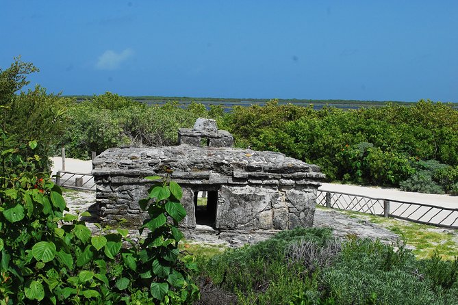 Cozumel Jeep and Snorkel Adventure With Lunch at Punta Sur Park - Age and Accessibility