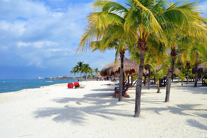 Cozumel Jeep or Buggy Tour and Snorkel With Lunch Included - Included in the Tour
