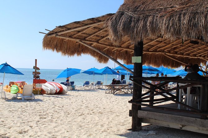 Cozumel Jeep or Buggy Tour and Snorkel With Lunch Included - Customer Feedback - Positive