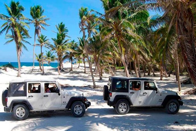 Cozumel Jeep Tour From Cancun and Riviera Maya - Customer Feedback
