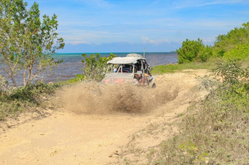 Cozumel: Jeep & Xrail Adventure Excursion - Key Points