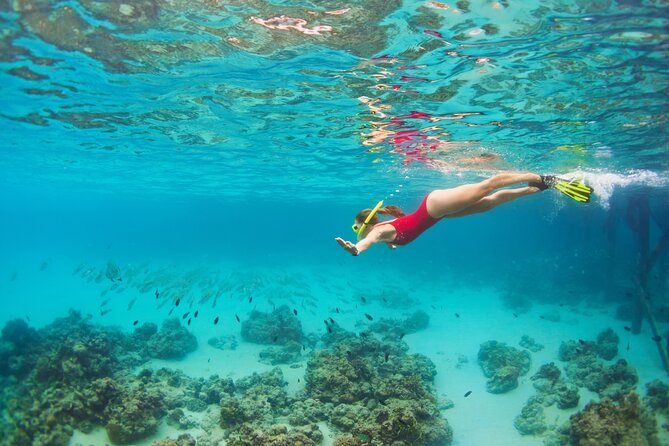 Cozumel Luxury Sailing & Snorkeling Cruise Experience - Participant Requirements
