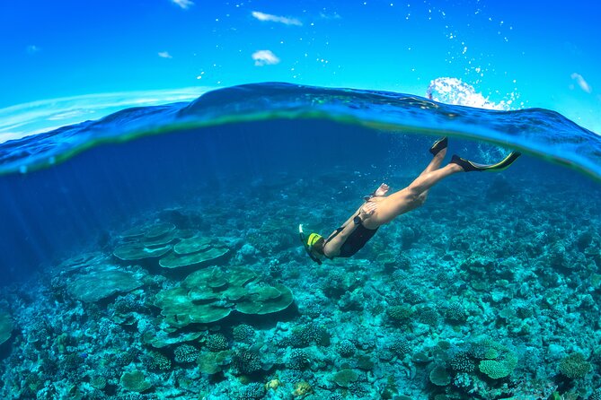 Cozumel Luxury Sailing & Snorkeling Cruise Experience - Frequently Asked Questions