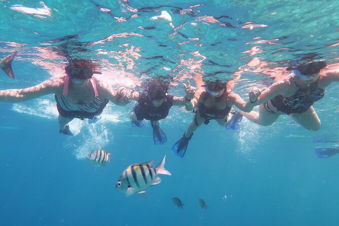 Cozumel Luxury Sailing & Snorkeling With Lunch and Open Bar Onboard - Inclusions and Amenities