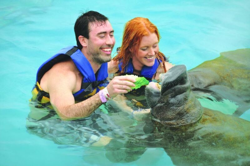 Cozumel: Manatee Encounter With Chankanaab Park Entrance - Program Highlights