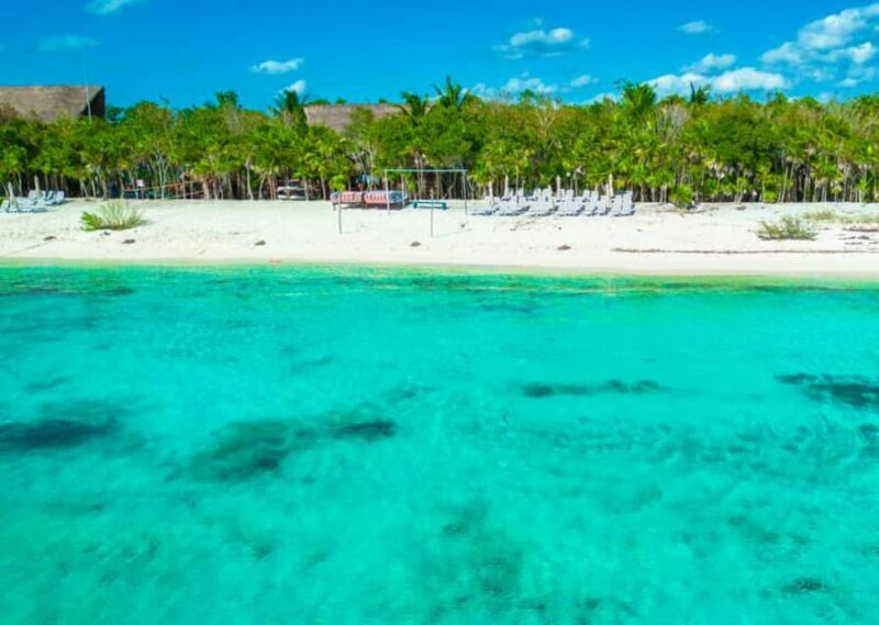 Cozumel: Mexican Mixology Workshop by the Sea - The Value and Practical Considerations