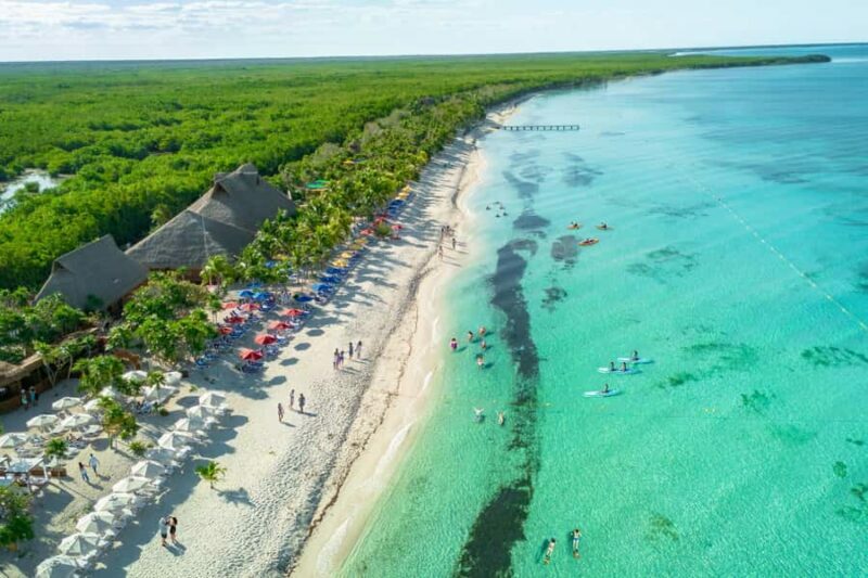 Cozumel: Mexican Party by the Sea with Music and Drinks - The Experience Provider and Similar Alternatives