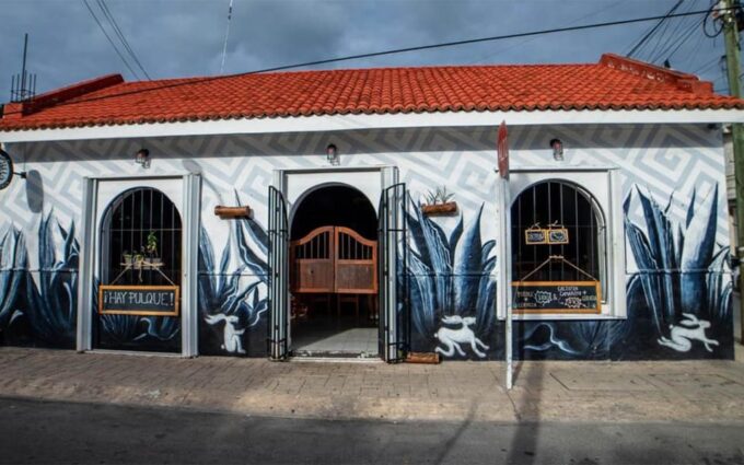 Cozumel: Mezcal Masterclass and Gourmet Tour - Accessibility and Restrictions