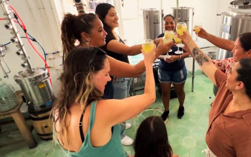 Cozumel: Mixology Experience at Distillery - Meeting Point and Accessibility