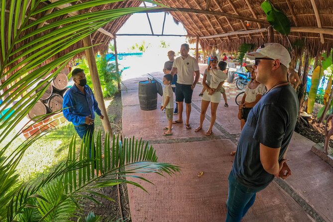 Cozumel Mustang Tour: Snorkel, Mexican Lunch and Mayan Experience - Accessibility and Participation