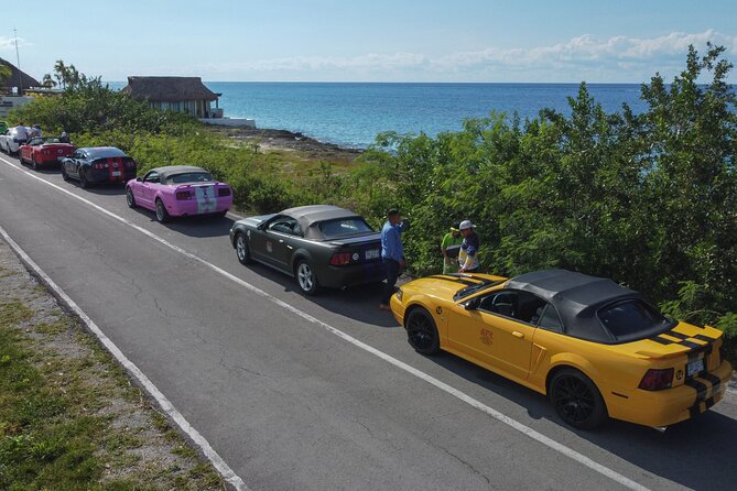 Cozumel Mustang Tour: Snorkel, Mexican Lunch and Mayan Experience - Positive Traveler Reviews