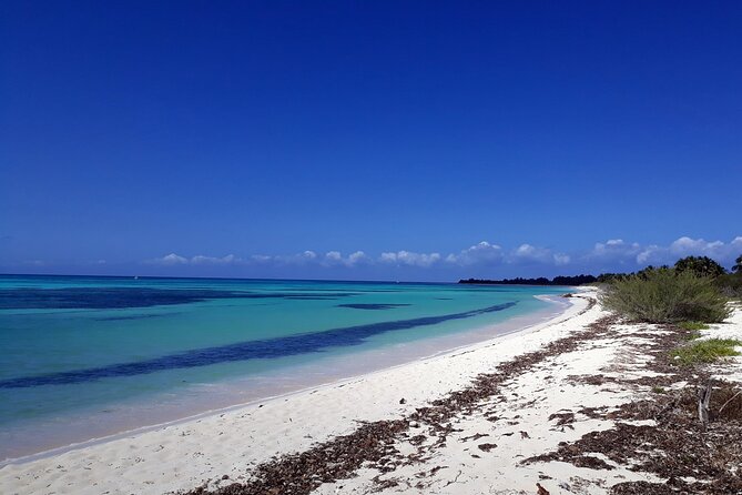 Cozumel National Park and Beach Break: Private Tour - Exploring Punta Sur National Park