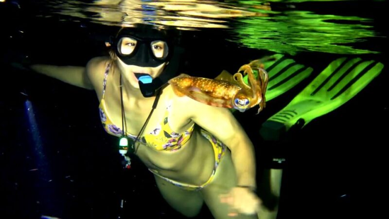 Cozumel: Night Snorkel Adventure - Booking Information