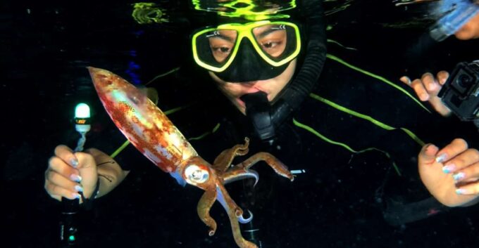 Cozumel: Night Snorkel Adventure - Important Considerations