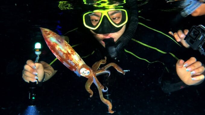 Cozumel: Night Snorkel Adventure - Frequently Asked Questions