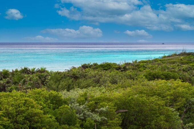Cozumel: North Shore E-Bike Adventure & Beach Break - Getting There