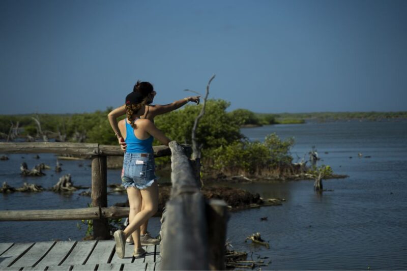 Cozumel: Off-road Adventure to Punta Sur and Clear Boat Ride - Tour Inclusions and Requirements