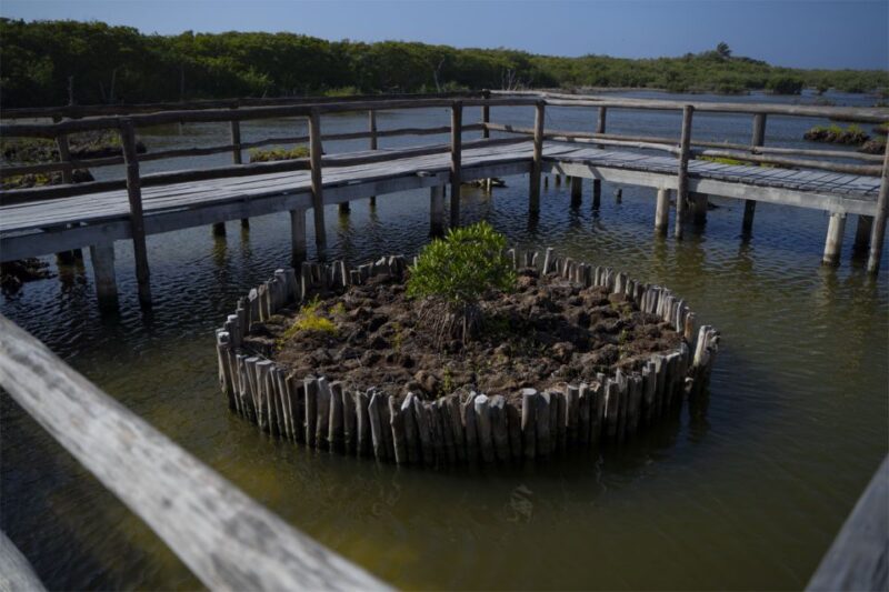 Cozumel: Off-road Adventure to Punta Sur and Clear Boat Ride - Important Information